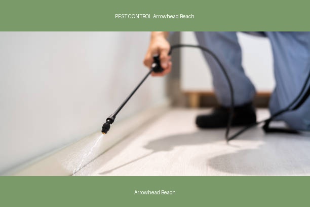 PEST CONTROL Arrowhead Beach